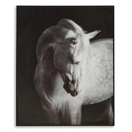 Ashley Archerwick Horse Wall Art in Black & White