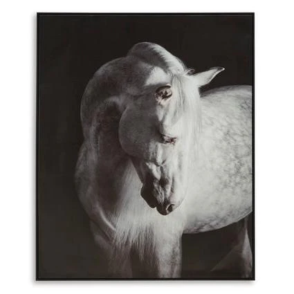 Ashley Archerwick Horse Wall Art in Black & White - Image 2